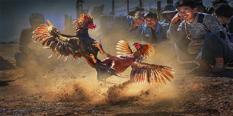 bg88 xổ số bữa nay