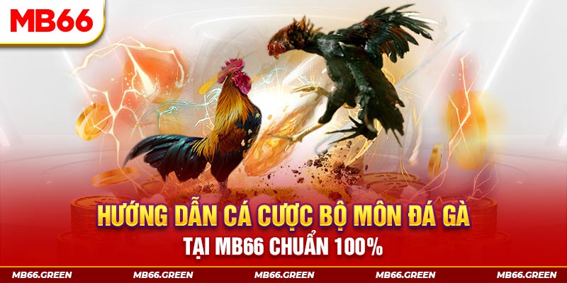 bg88 slot là gi