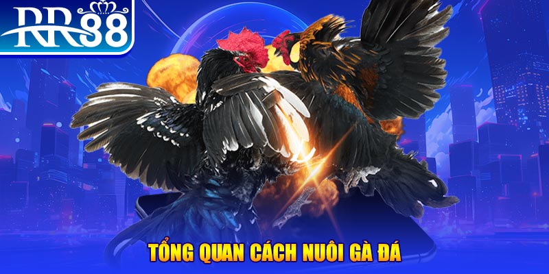 bg88 game nổ hũ rút tiền mặt là gì