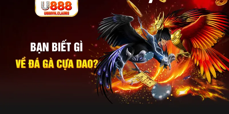 bg88 SW Xổ Số