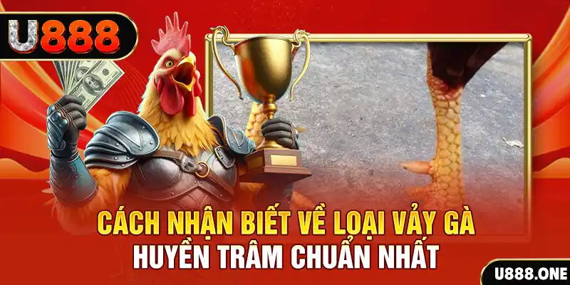 bg88 đăng nhập nổ hũ số 1