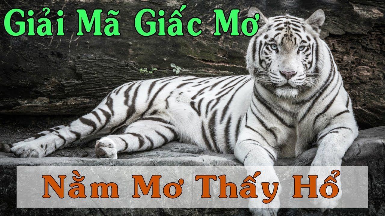 bg88 nổ hũ là game gì