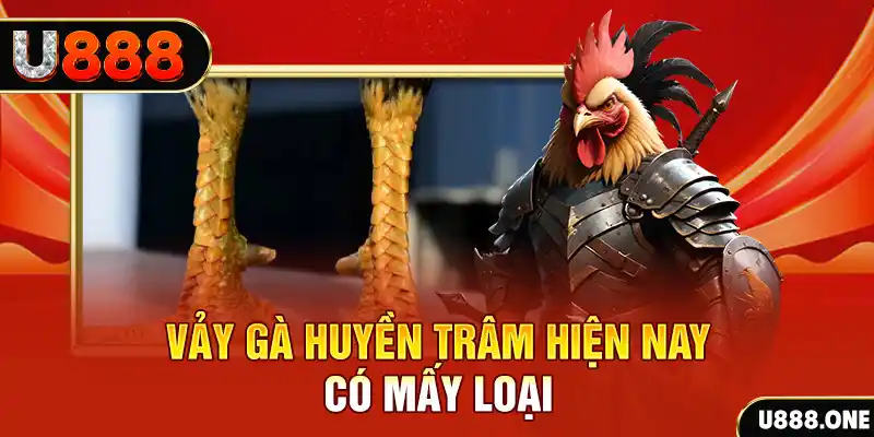 bg88 xổ số bình định