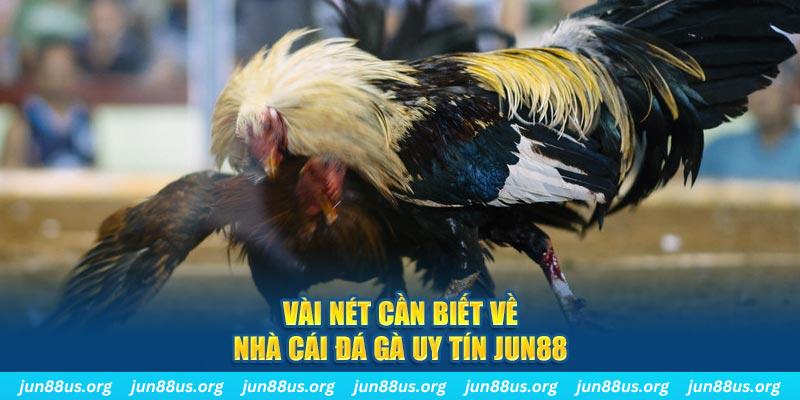 bg88 đăng nhập phỏm khuyến mãi