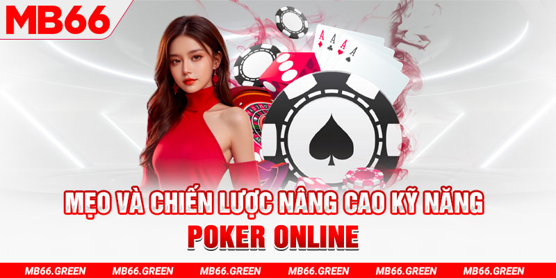 bg88 chổi lông gà