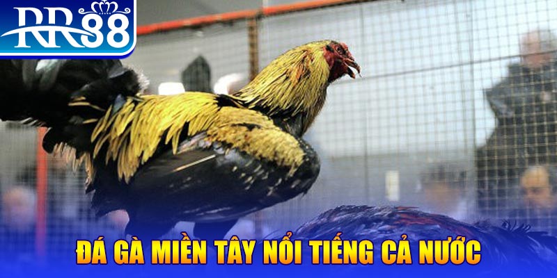 bg88 xổ số đại phát