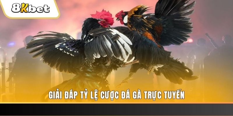 bg88 ga choi cau thanh