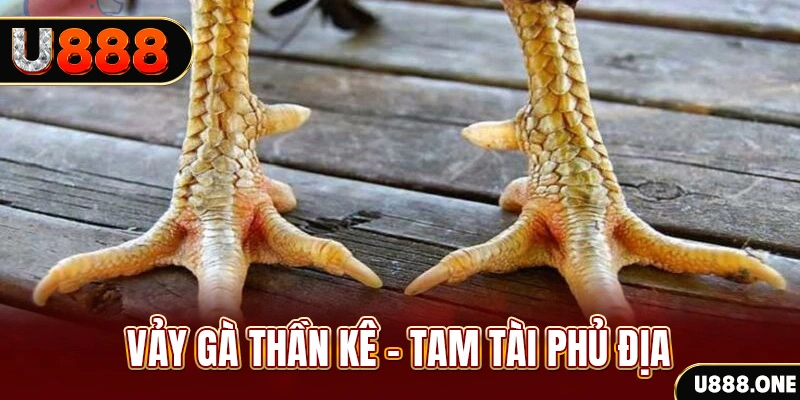 bg88 xổ số miền trung thứ hai hàng tuần