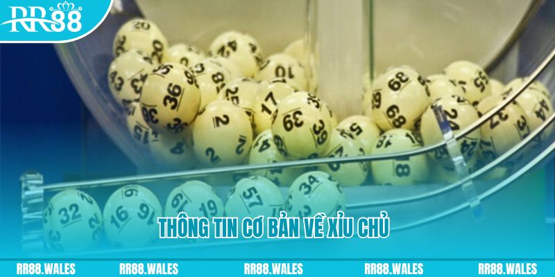 bg88 how to win at slot machines
