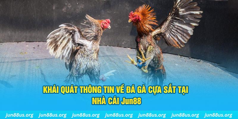 bg88 xổ số miền bắc thứ bảy hàng tuần