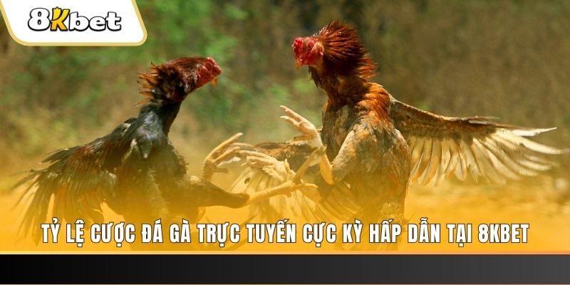 bg88 đăng nhập nổ hũ trực tuyến