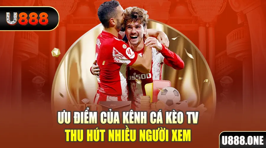bg88 gà chọi cu cần