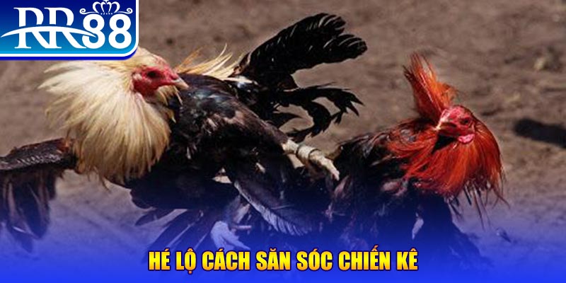 bg88 xổ số miền trung thứ tư