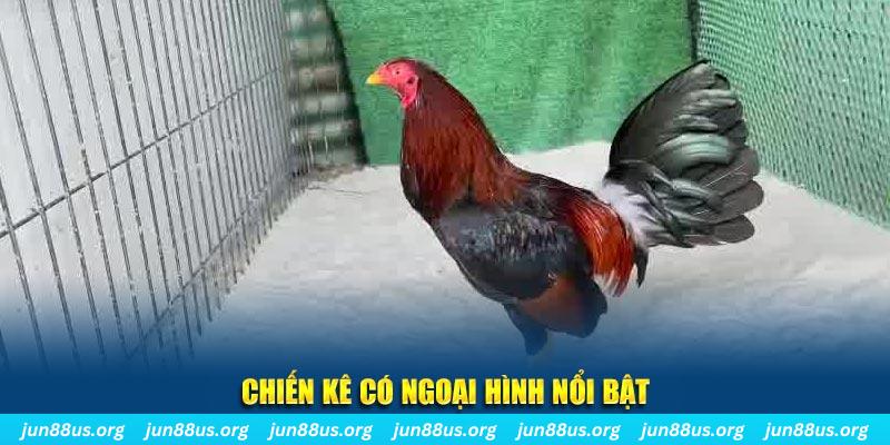 bg88 game bắn cá